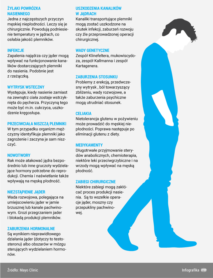 Infografika/PAP