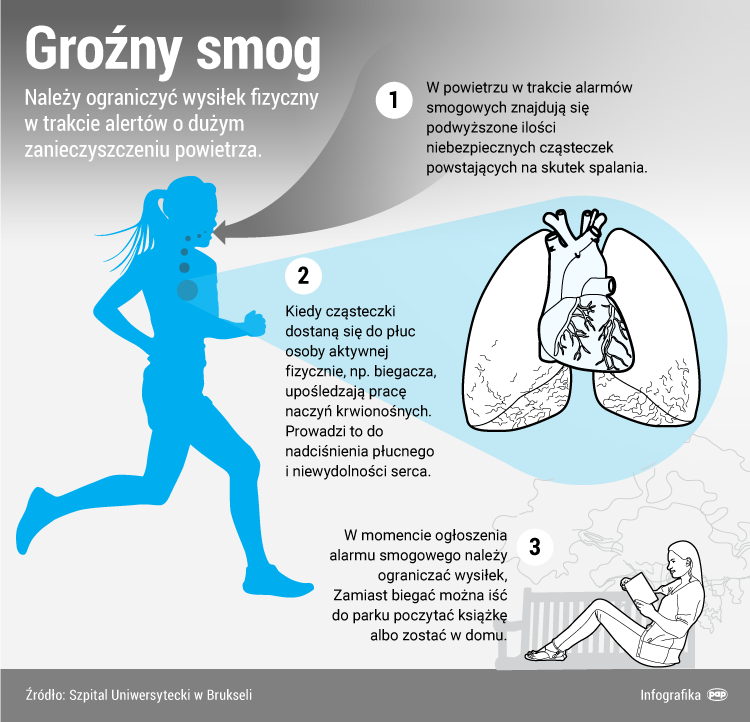 Infografika/PAP