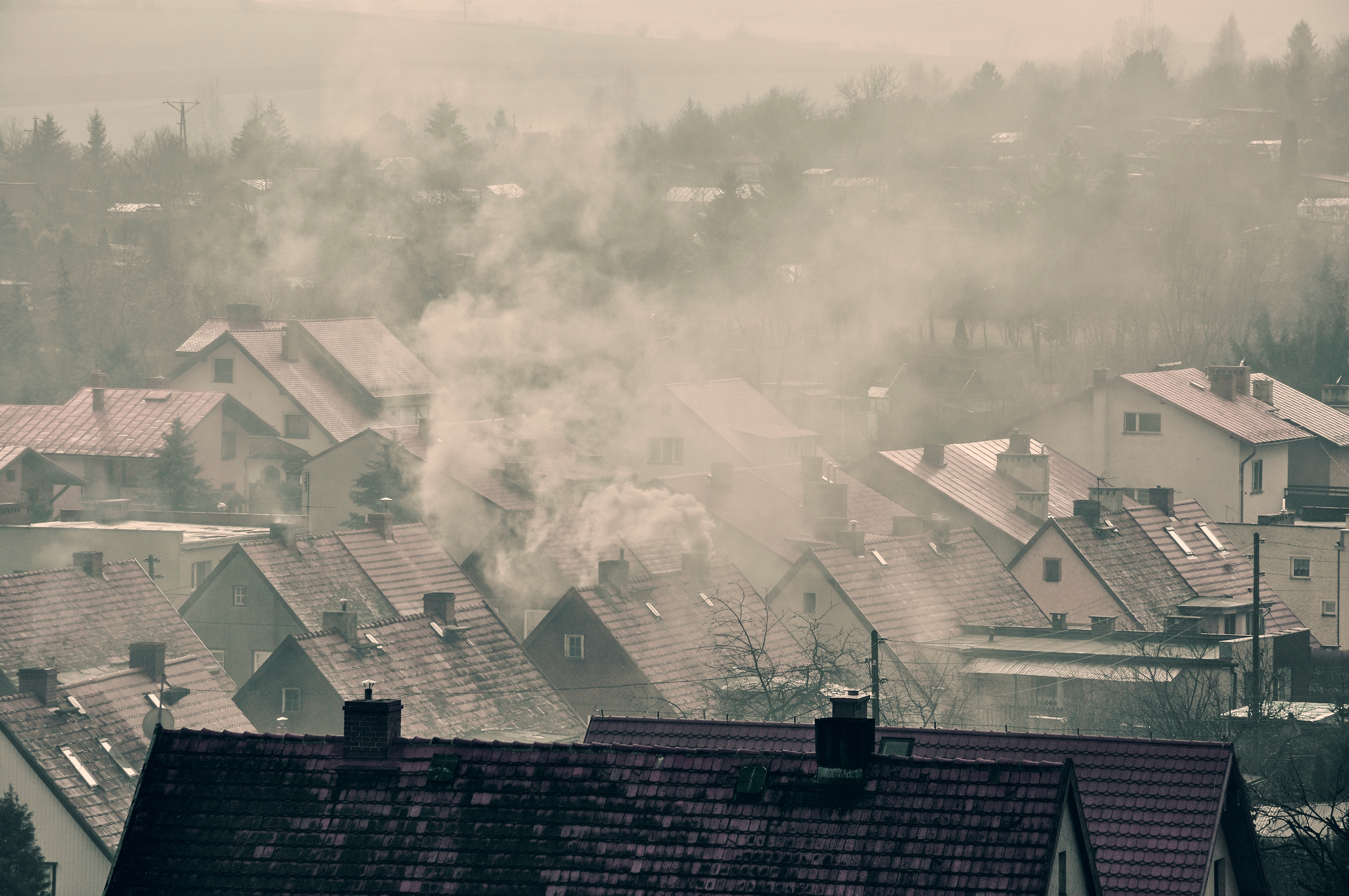 fot.Grzegorz Polak/Adobe Stock