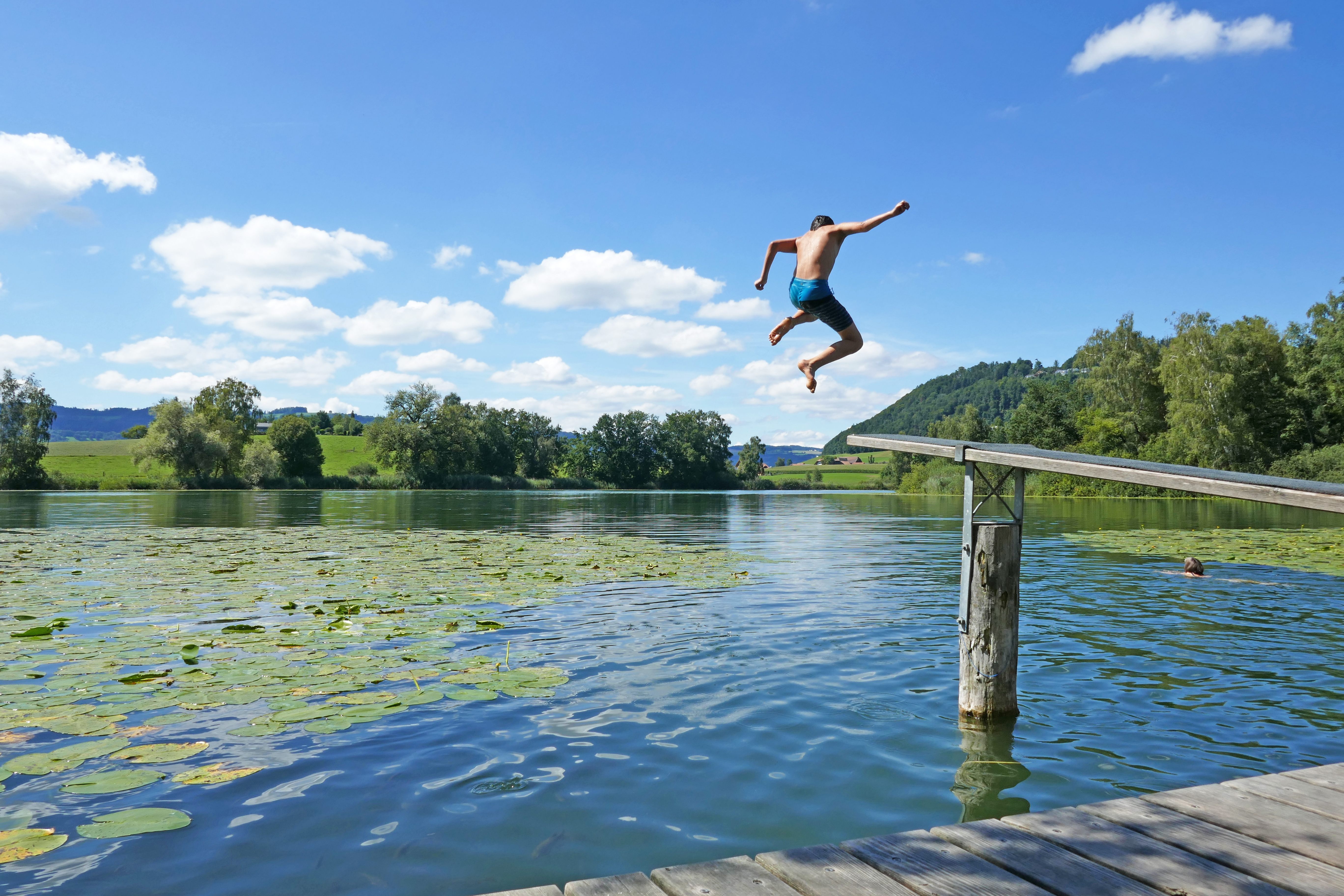 Fot. Schlierner/Adobe Stock