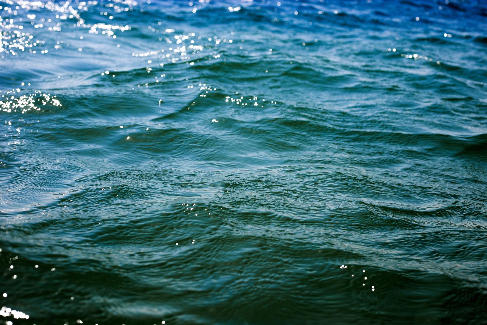 Fot. Kima/Adobe Stock