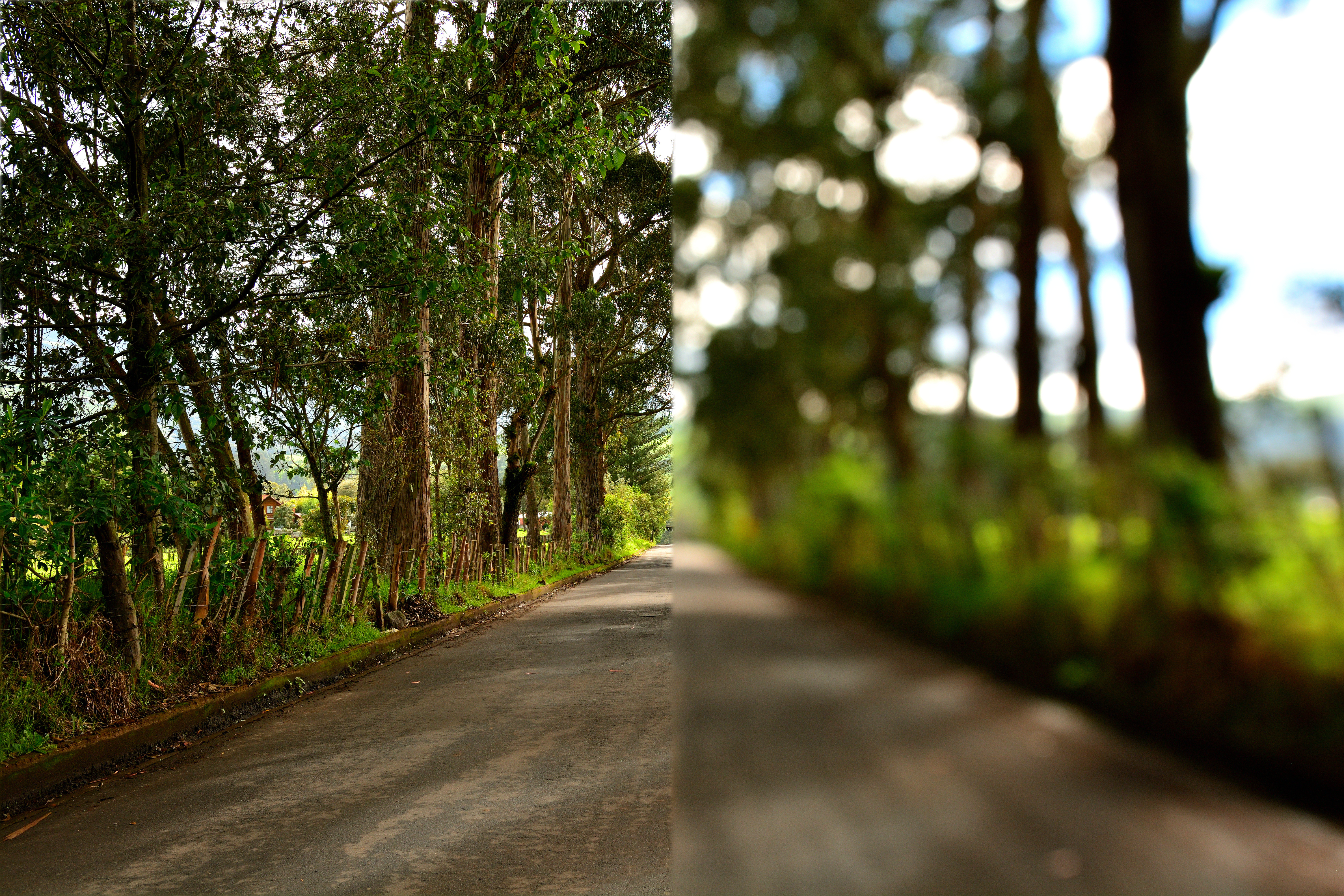 Yanchapaxi/Adobe Stock