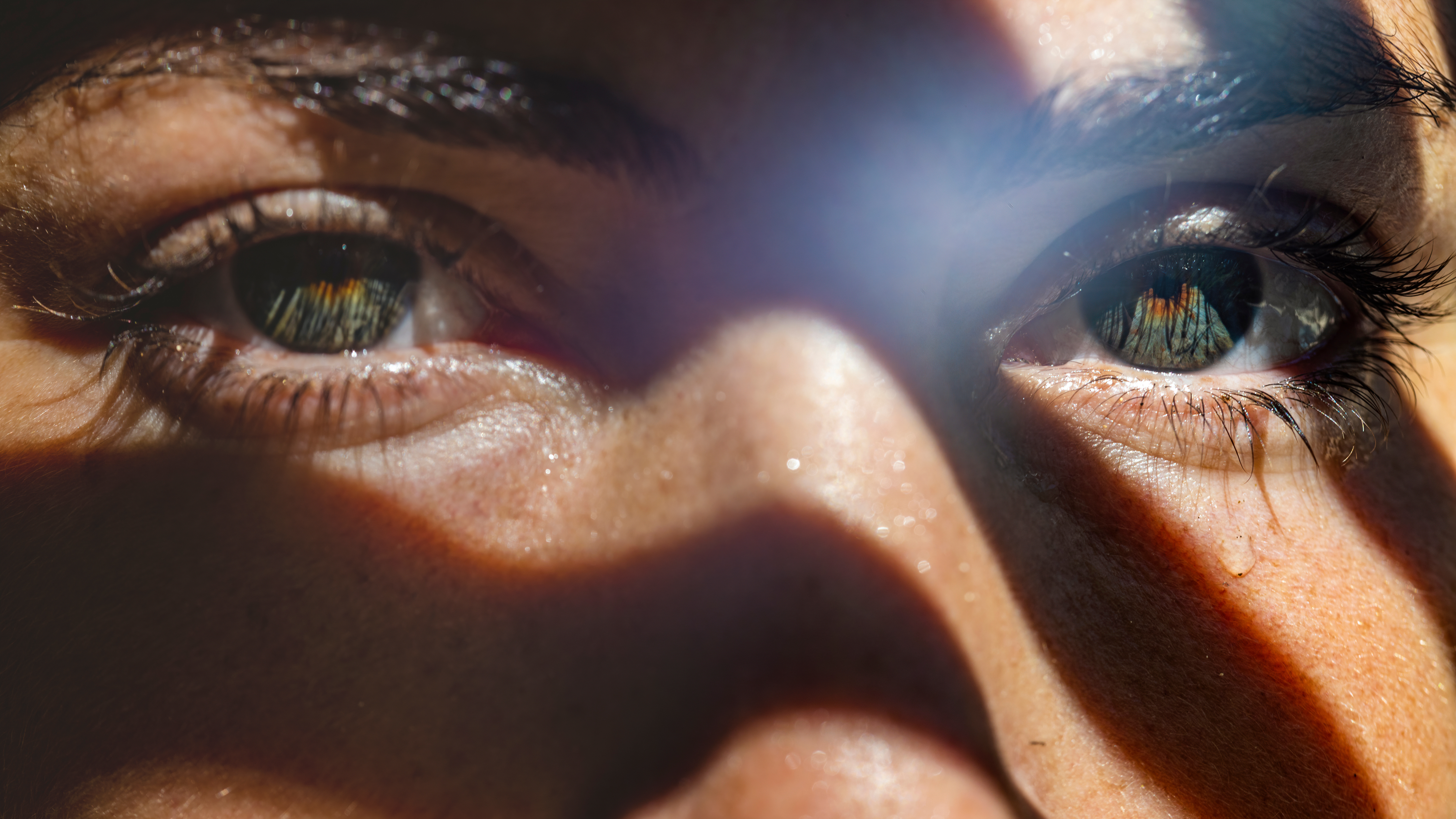 AdobeStock/bartsadowski