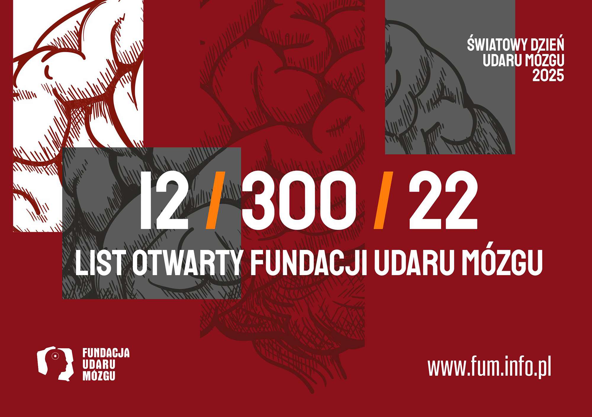 Fundacja Udaru Mózgu