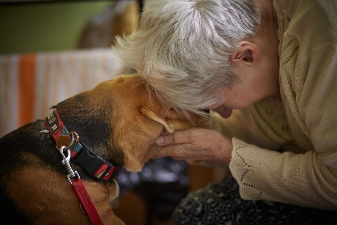 zdj.Fundacja Dr Clown 