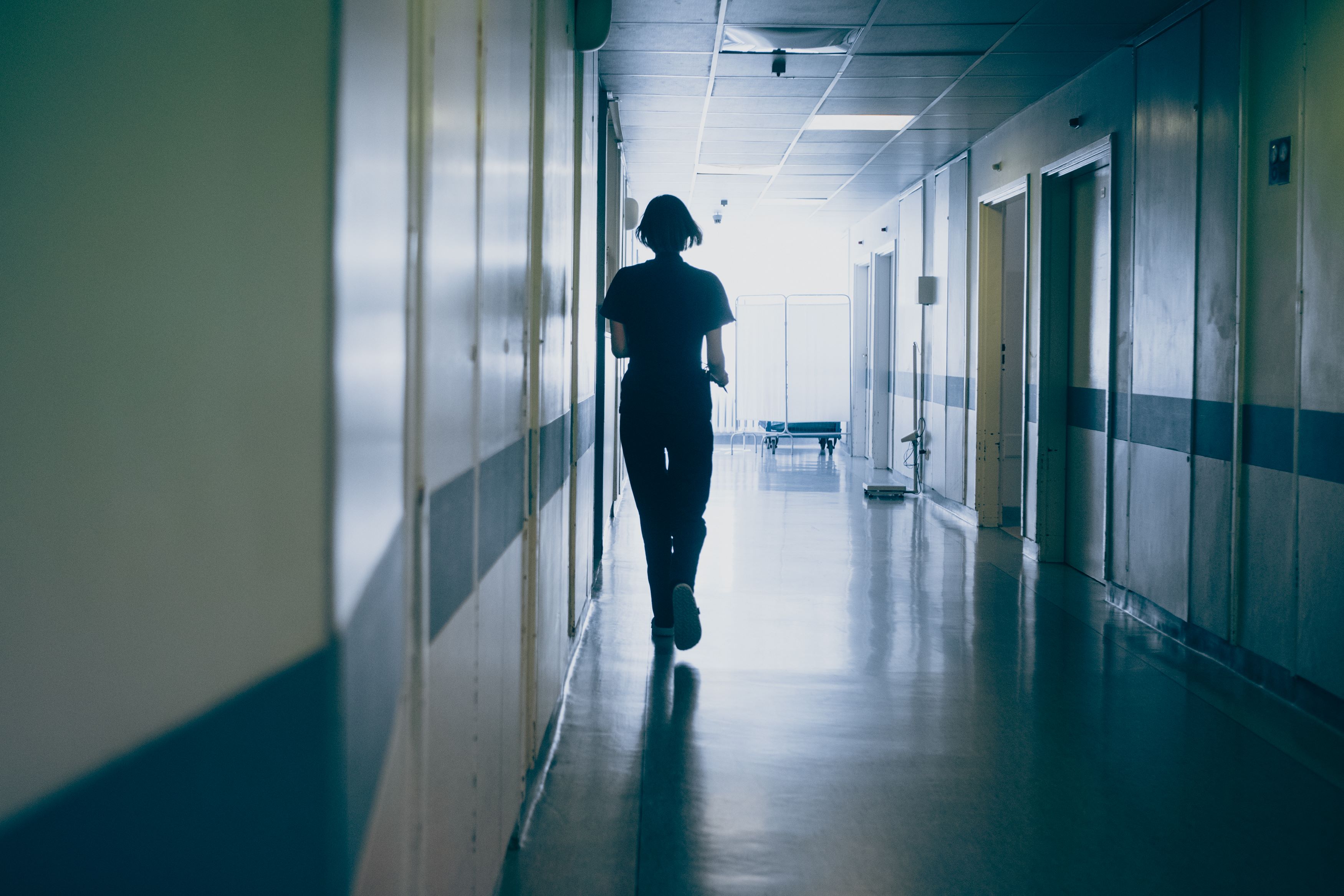 PAP MediaRoom / P. Werewka