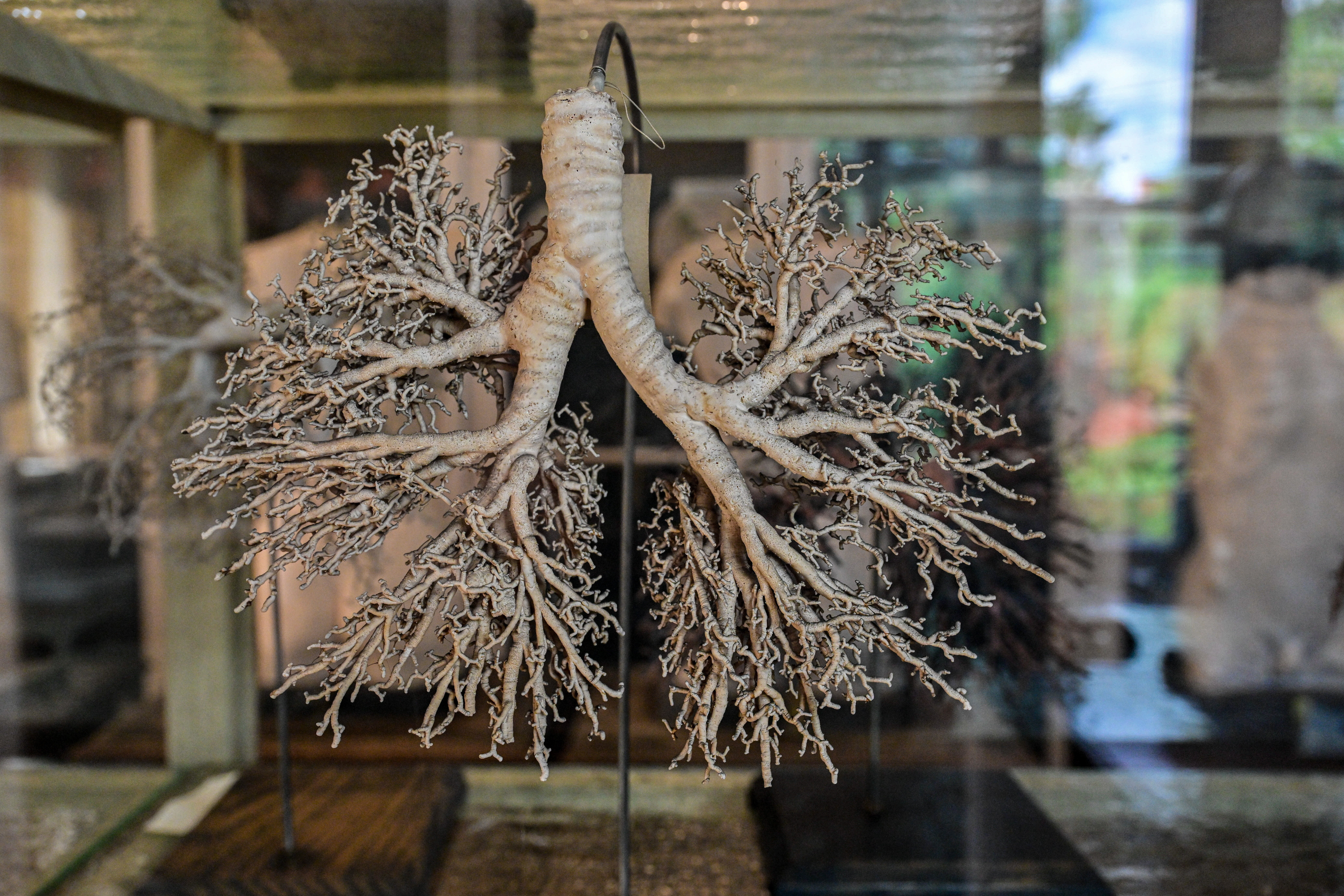 PAP/Maciej Kulczyński