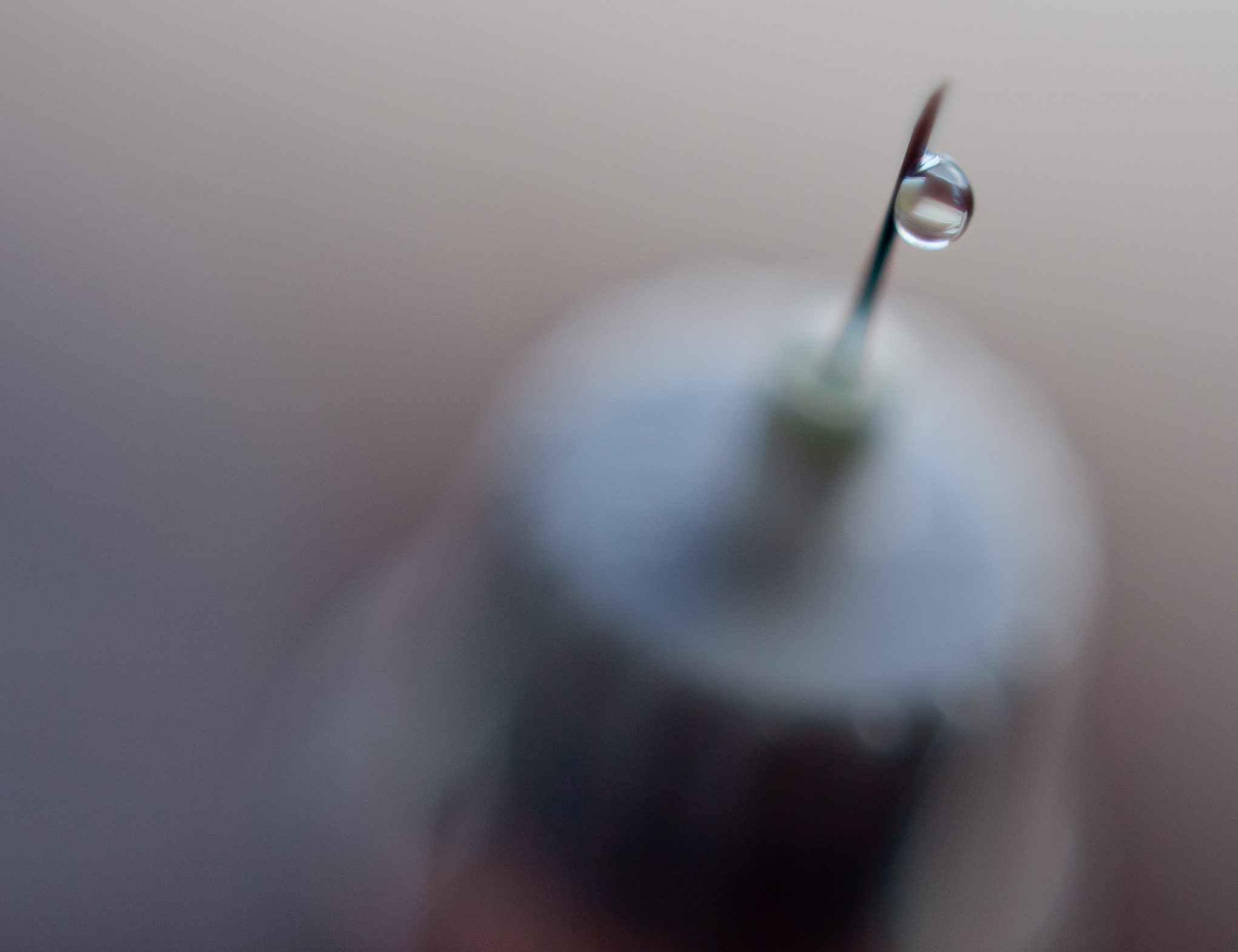 PAP/Maciej Kulczyński