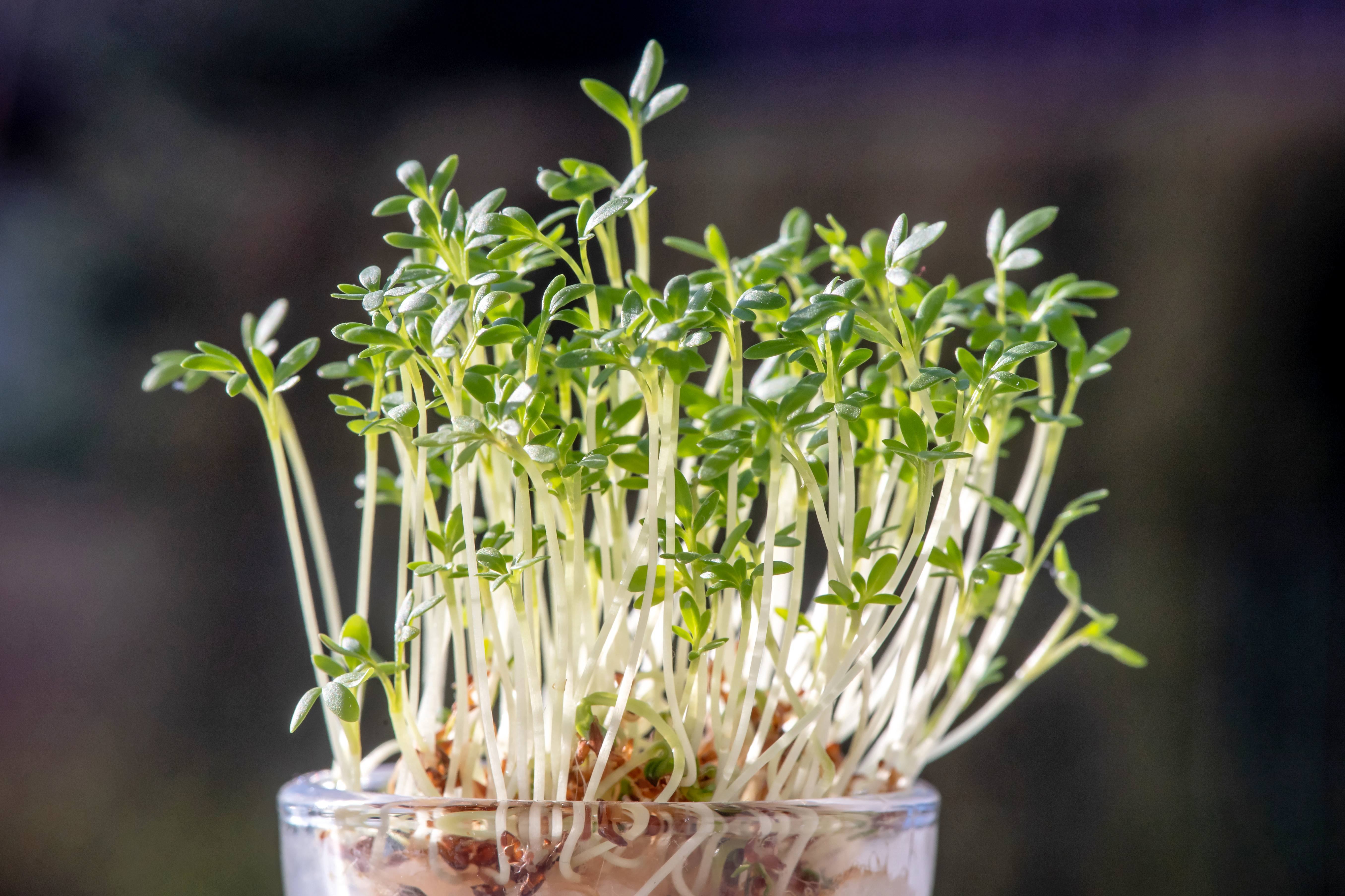 PAP/Tytus Żmijewski