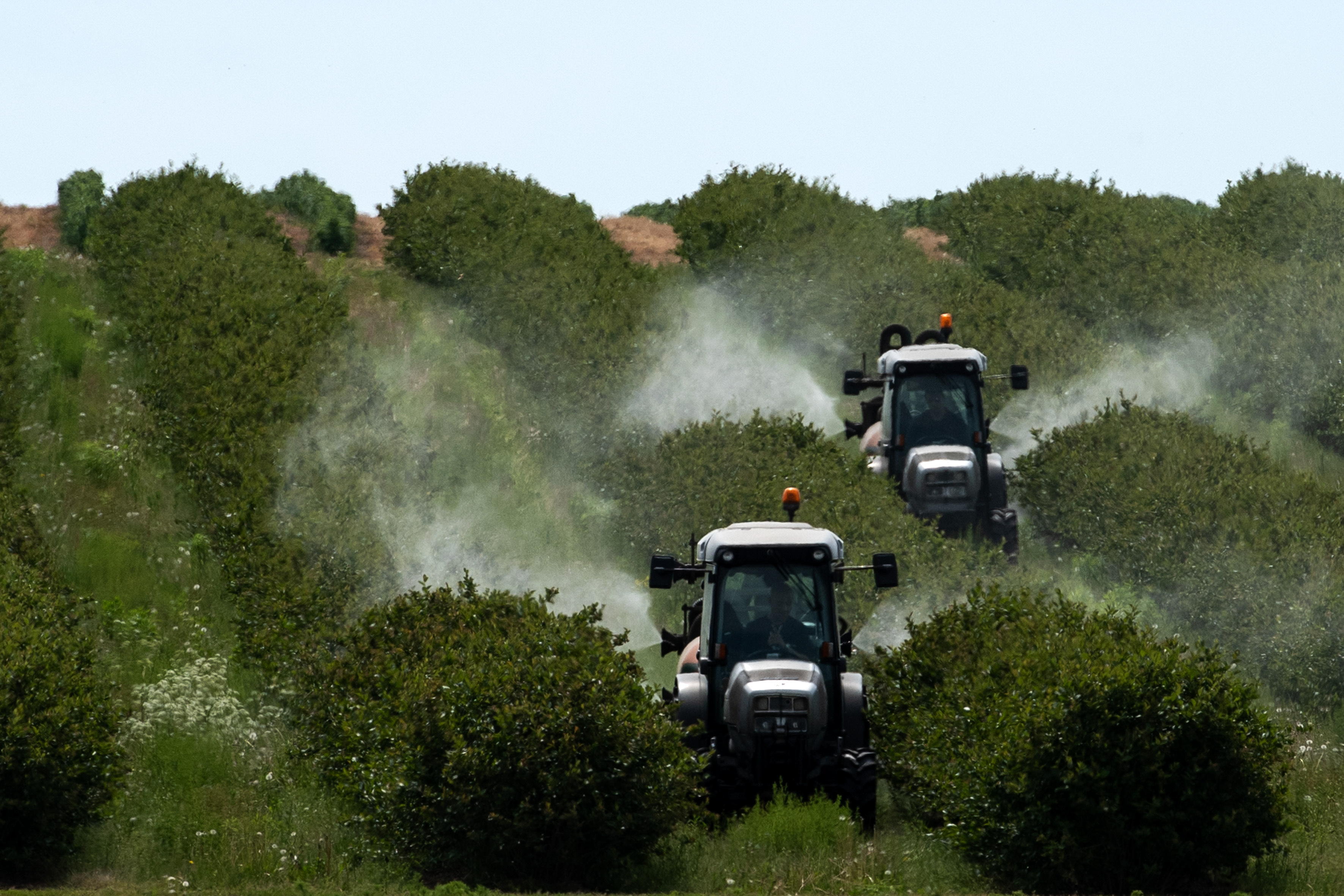 PAP/Michał Zieliński