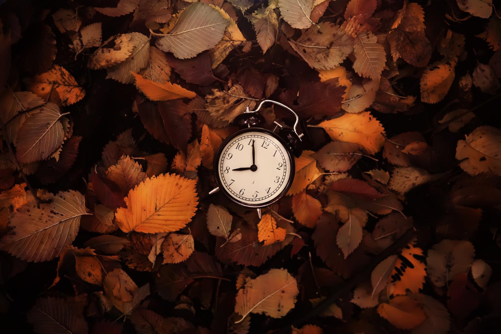 AdobeStock