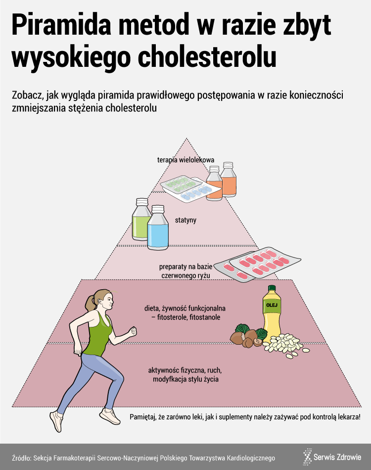Infografika PAP/Serwis Zdrowie/Piramida modyfikacji lipidogramu