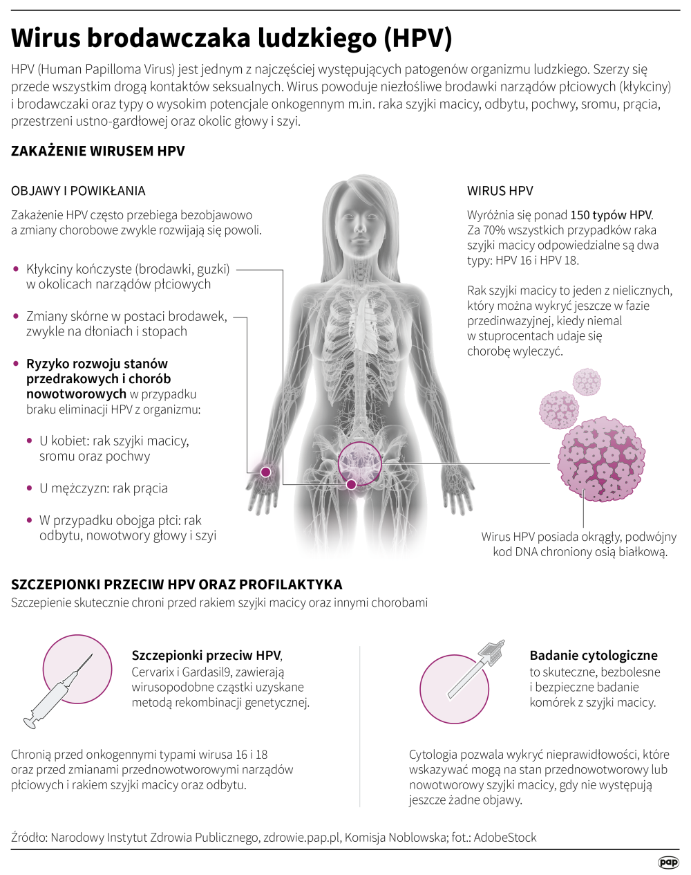 Infografika PAP