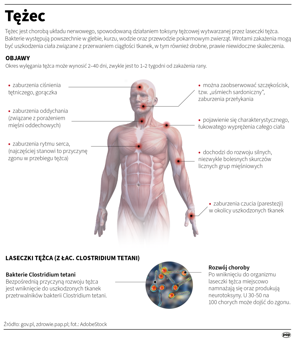 Infografika PAP