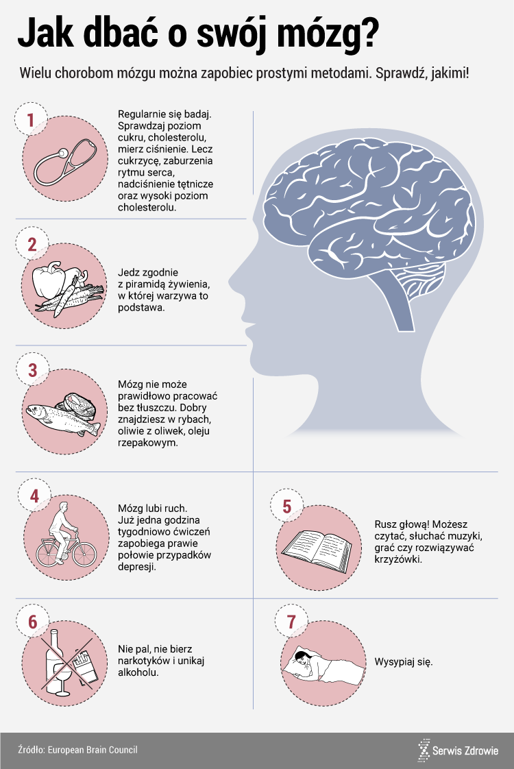 Infografika PAP mózg