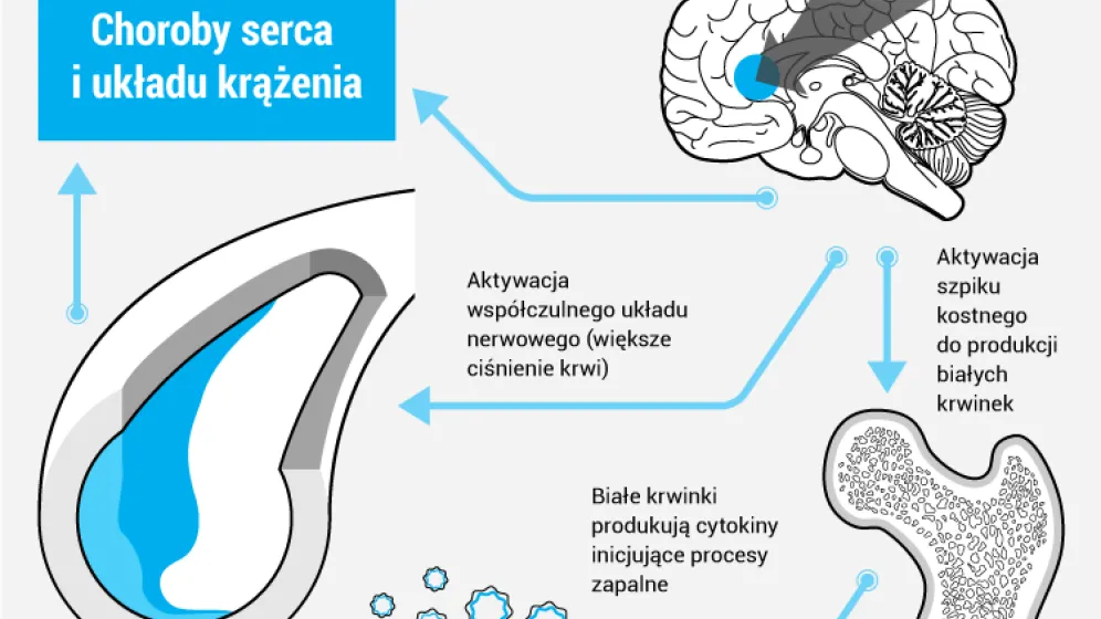 Infografika PAP Infografika PAP