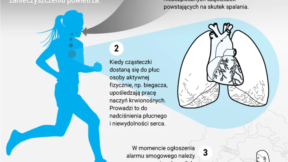 Infografika/PAP