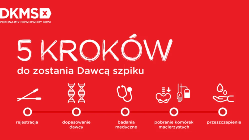 Infografika DKMS