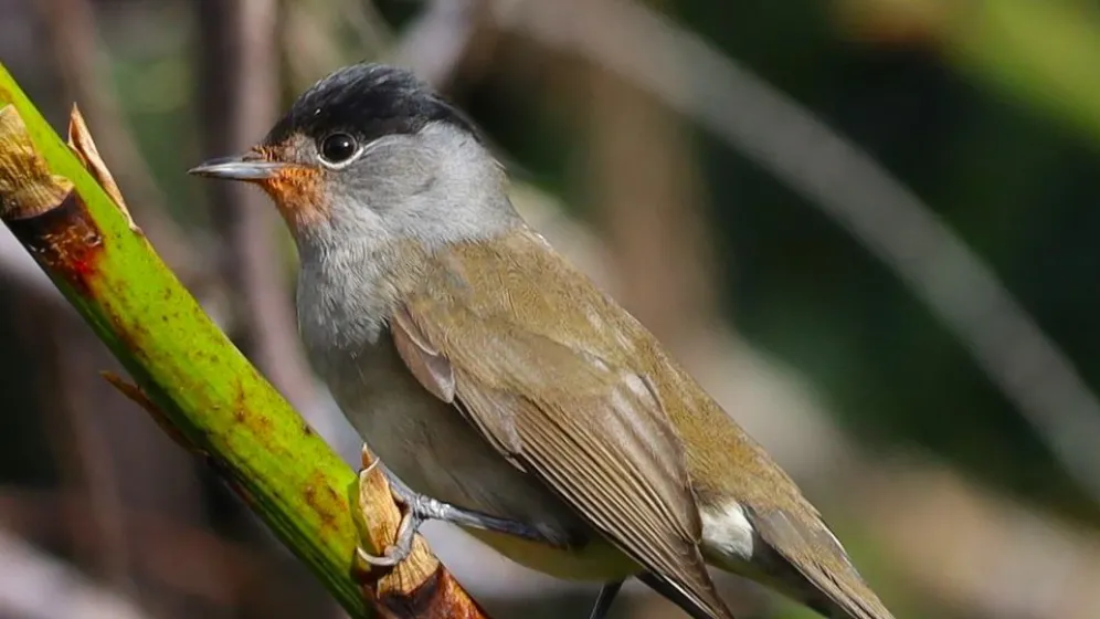 zdj. archiwum własne Sławomir Murawiec