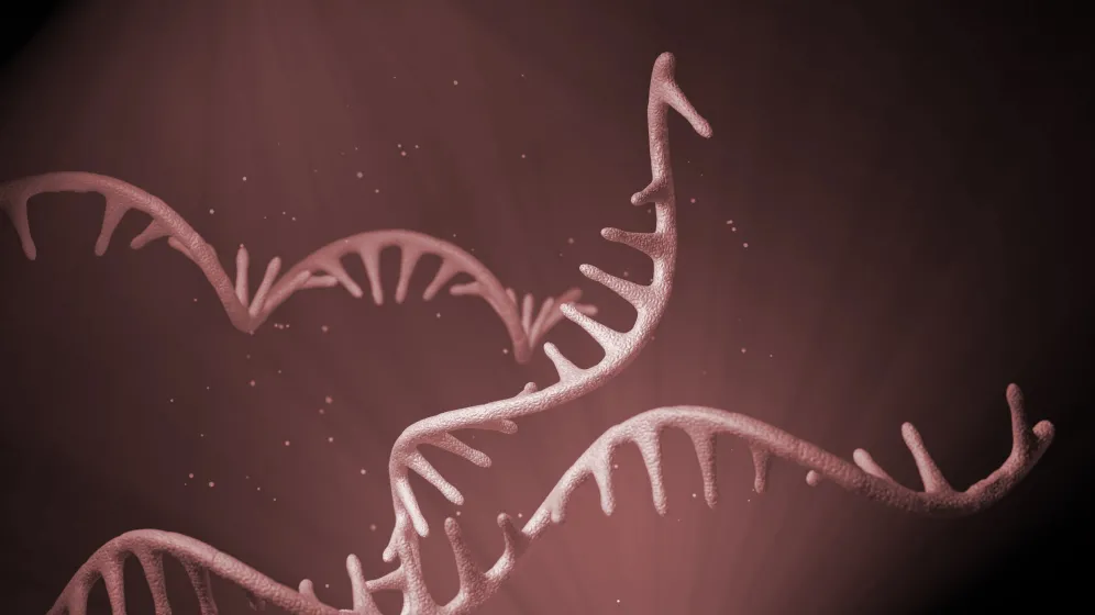 Adobe Stock/scienceDISPLAY Adobe Stock/scienceDISPLAY