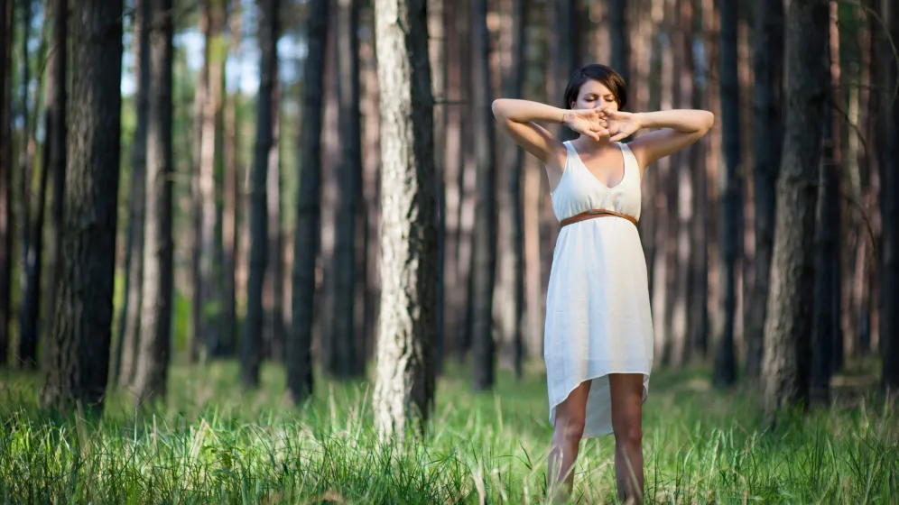 AdobeStock AdobeStock