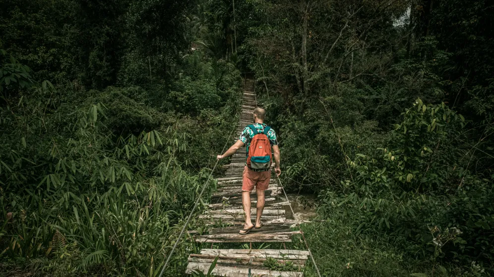 AdobeStock AdobeStock