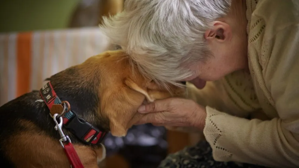 zdj.Fundacja Dr Clown 