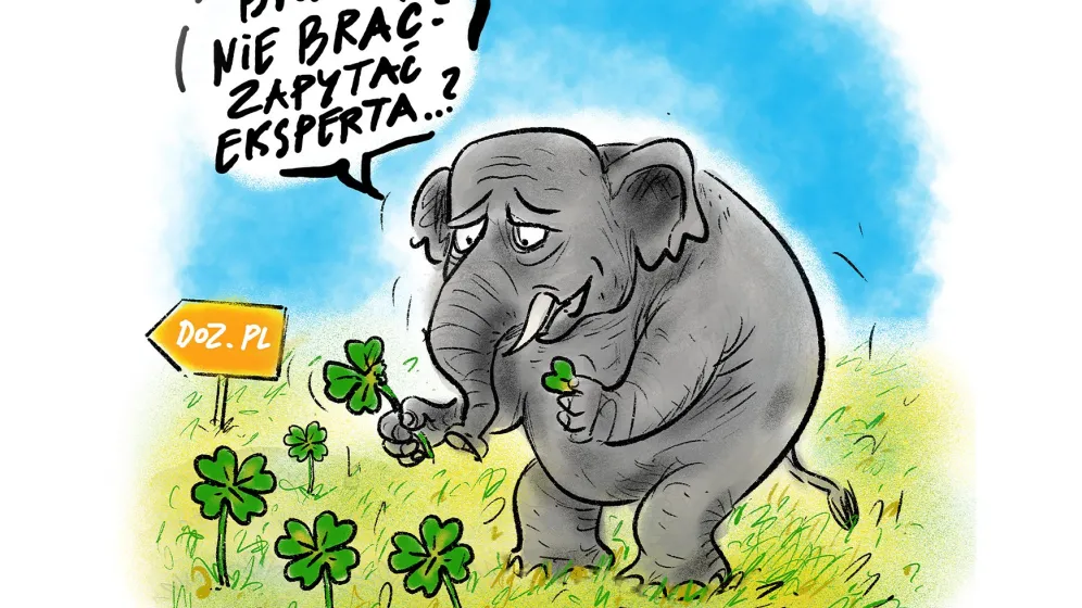 Agencja Media dla Zdrowia