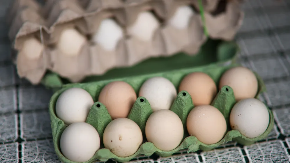 PAP/Leszek Szymański