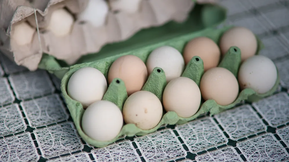 PAP/Darek Delmanowicz