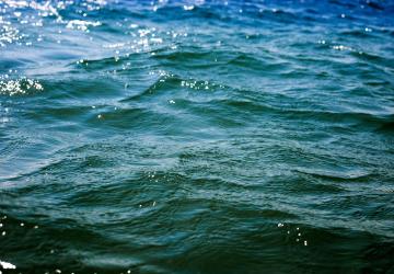 Fot. Kima/Adobe Stock