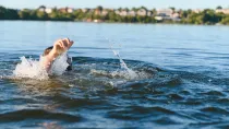 AdobeStock/Serhii
