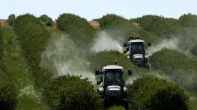 PAP/Michał Zieliński