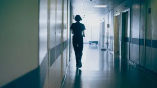 PAP MediaRoom / P. Werewka