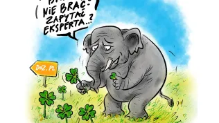 Agencja Media dla Zdrowia