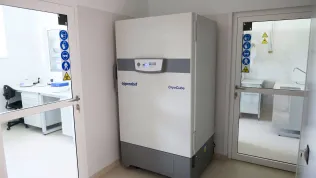 zdj. ilustracyjne PAP/Jakub Kaczmarczyk