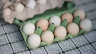 PAP/Darek Delmanowicz