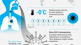 Infografika/PAP