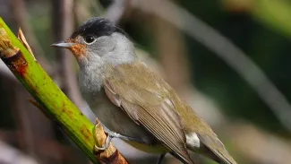 zdj. archiwum własne Sławomir Murawiec