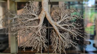 PAP/Maciej Kulczyński