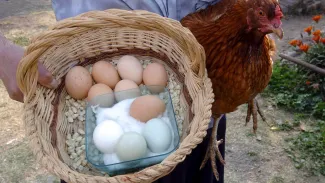 EFE PAP/EPA Mario Guzman