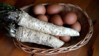 PAP/Darek Delmanowicz