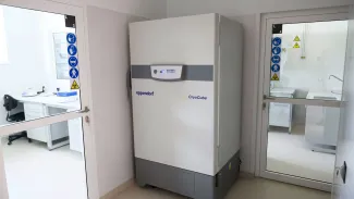 zdj. ilustracyjne PAP/Jakub Kaczmarczyk