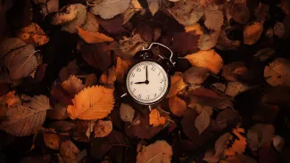 AdobeStock