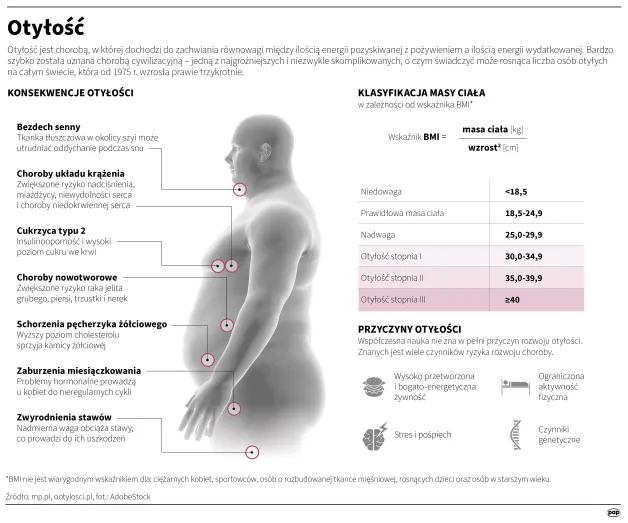 Infografika PAP