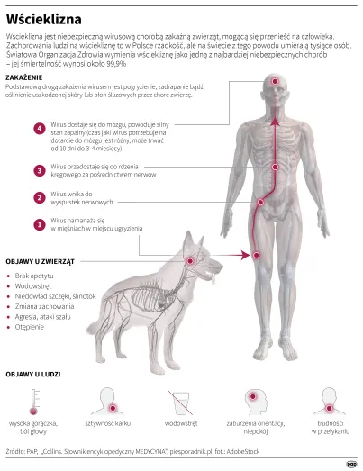 Infografika PAP