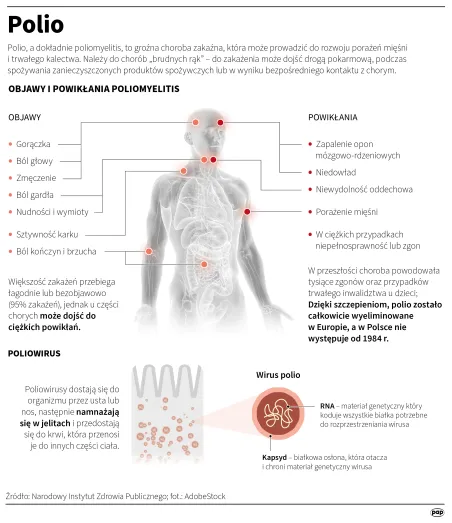 Infografika PAP