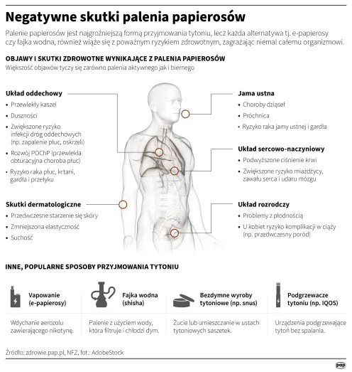 Infografika PAP