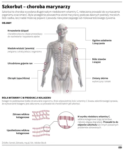 Infografika PAP