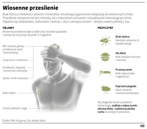 Infografika PAP